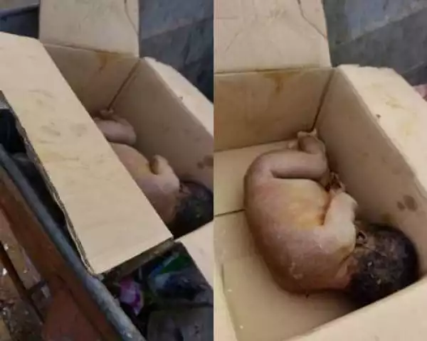 Wicked World: Enugu Residents Discovers Newborn Baby Dumped Inside Carton (Graphic Photos)